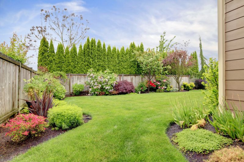 Backyard Landscaping