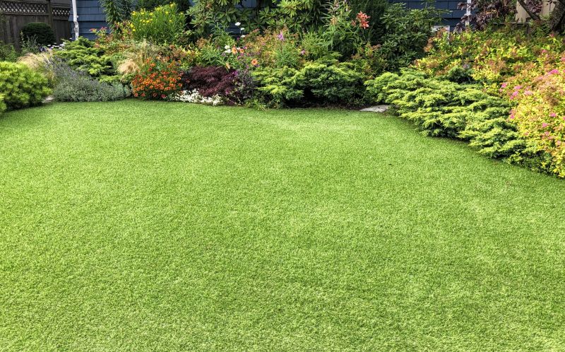 Backyard Landscaping