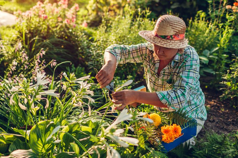 Gardening Service in Ventura County, CA