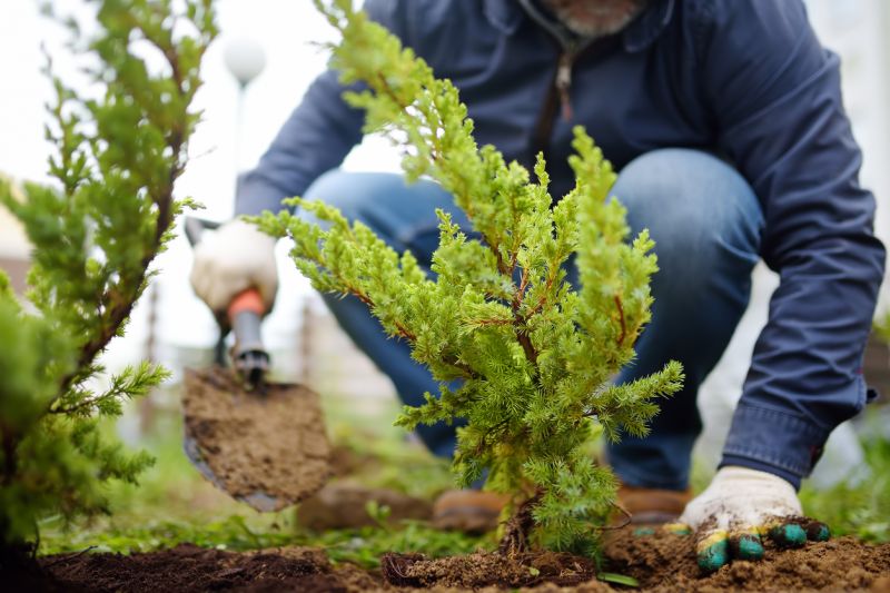 Landscape Planting Service in Honolulu, HI