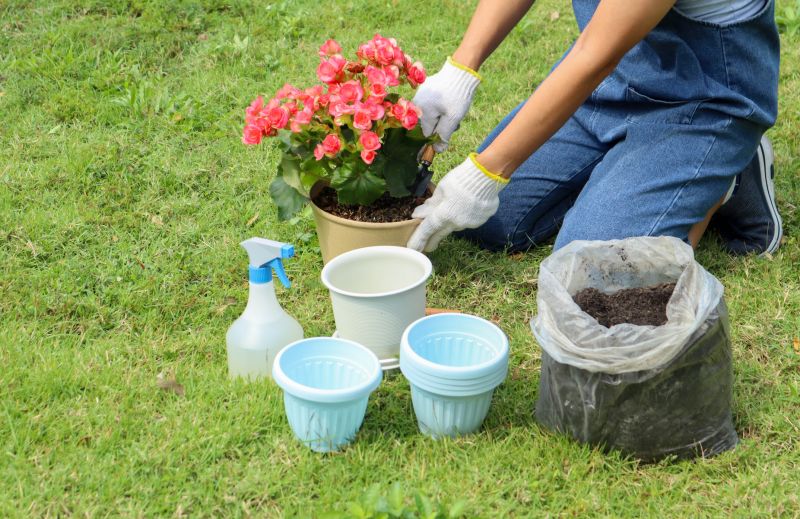 Planting Service in Ventura County, CA
