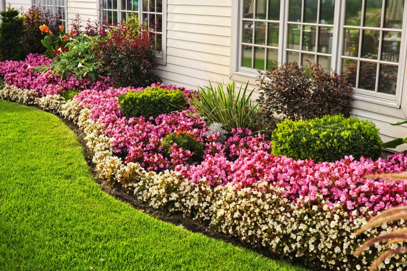 Privacy Hedge Planting in Ventura County, CA