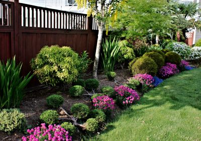Shrub Landscaping in Honolulu, HI