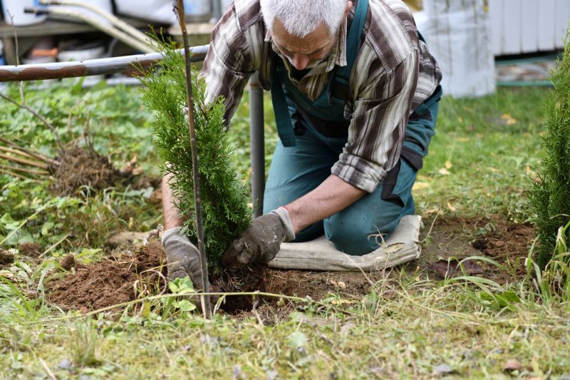 Shrub Planting Service in Ventura County, CA