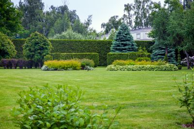 Enhanced Lawn Health