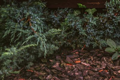 Enhanced Soil Health