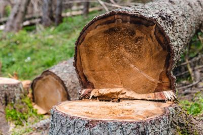 Environmental Preservation