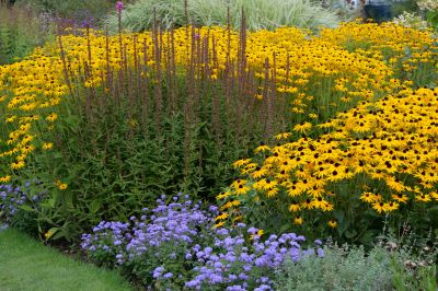 Expert Plant Selection