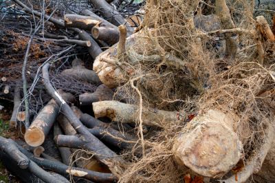 Prevention of Overgrowth