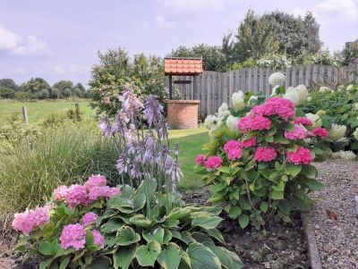 Seasonal Variety