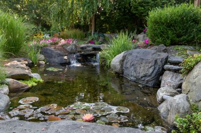 Relaxation and Recreation