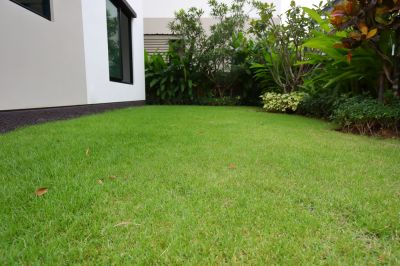 Instant Green Lawn
