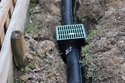 Prevents Soil Erosion