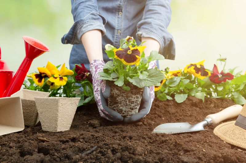 Flower Planting Service in Honolulu, HI