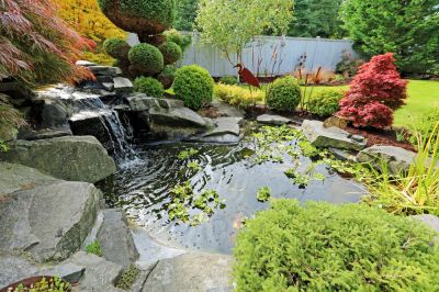 Tranquil Water Feature