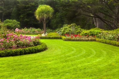 Maintained Lawn Aesthetics