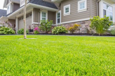 Healthier Grass Growth