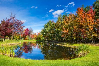 Enhanced Landscape